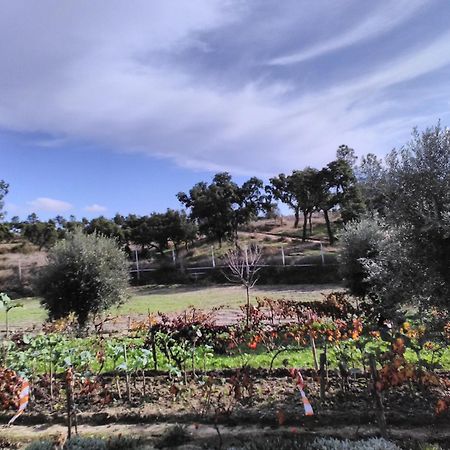 Monte Familia Ferreira Hotel Vale de Acor Eksteriør billede