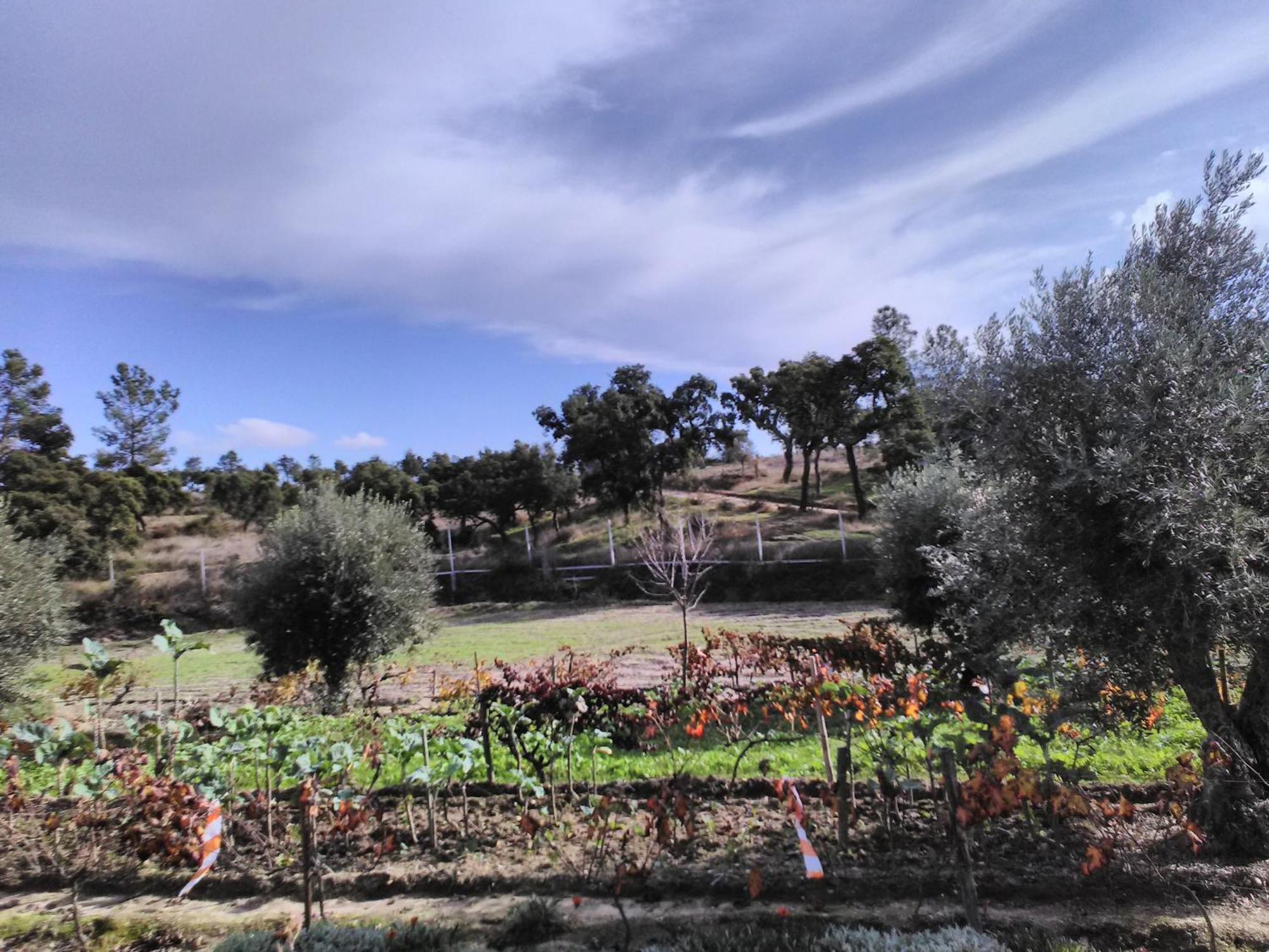 Monte Familia Ferreira Hotel Vale de Acor Eksteriør billede